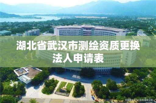 湖北省武漢市測繪資質更換法人申請表