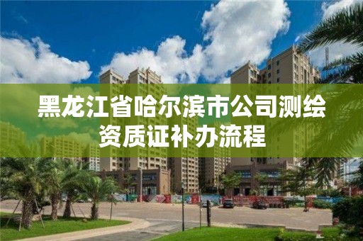 黑龍江省哈爾濱市公司測繪資質(zhì)證補(bǔ)辦流程