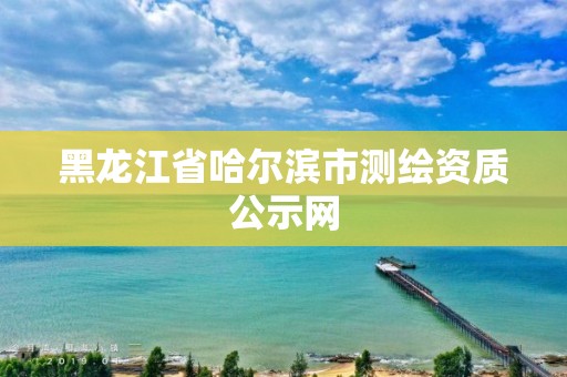 黑龍江省哈爾濱市測繪資質公示網