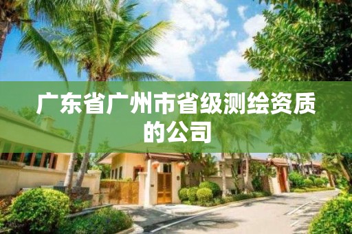 廣東省廣州市省級測繪資質的公司