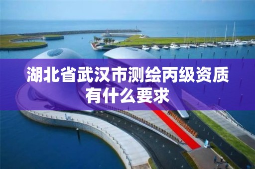 湖北省武漢市測繪丙級資質有什么要求