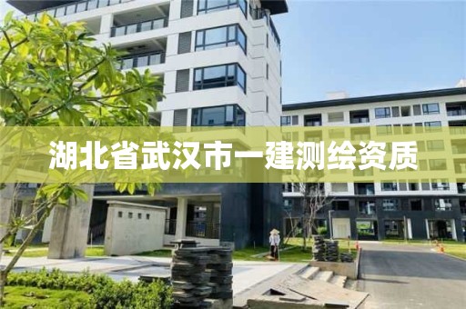 湖北省武漢市一建測繪資質