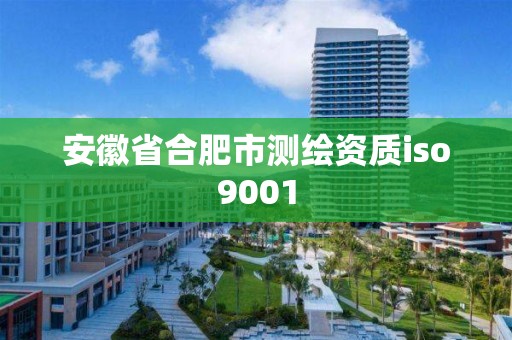 安徽省合肥市測繪資質iso9001