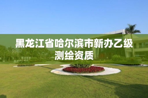 黑龍江省哈爾濱市新辦乙級測繪資質