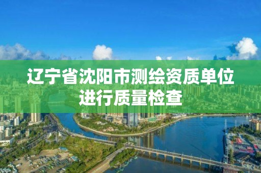 遼寧省沈陽市測繪資質單位進行質量檢查