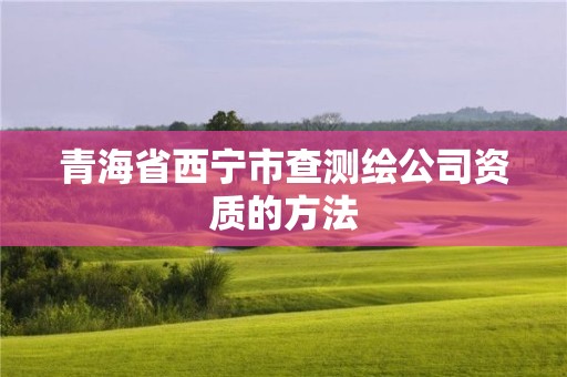 青海省西寧市查測(cè)繪公司資質(zhì)的方法