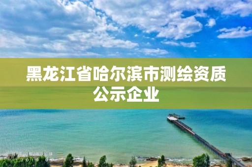 黑龍江省哈爾濱市測繪資質公示企業