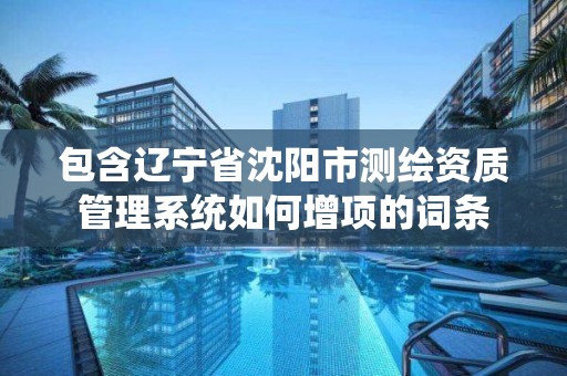 包含遼寧省沈陽市測繪資質管理系統如何增項的詞條