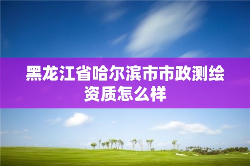 黑龍江省哈爾濱市市政測繪資質怎么樣