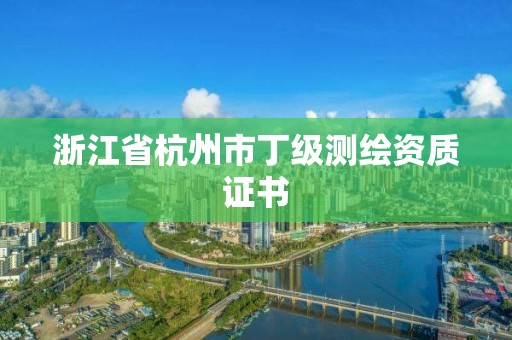 浙江省杭州市丁級測繪資質證書