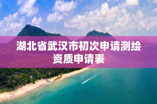 湖北省武漢市初次申請測繪資質申請表