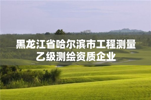 黑龍江省哈爾濱市工程測量乙級測繪資質(zhì)企業(yè)