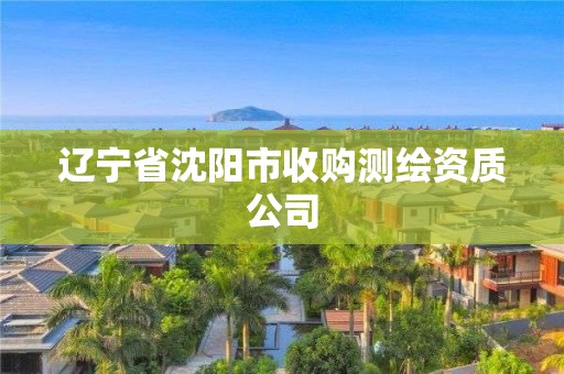 遼寧省沈陽(yáng)市收購(gòu)測(cè)繪資質(zhì)公司