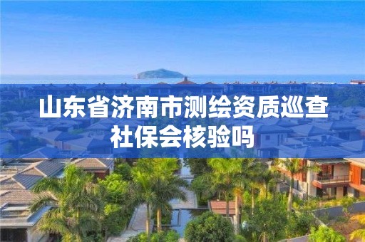 山東省濟南市測繪資質巡查社保會核驗嗎