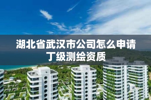 湖北省武漢市公司怎么申請丁級測繪資質