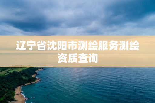 遼寧省沈陽市測繪服務測繪資質查詢