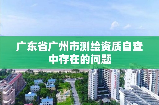 廣東省廣州市測繪資質自查中存在的問題