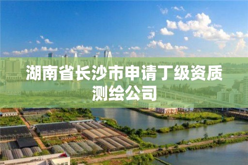 湖南省長沙市申請丁級資質測繪公司