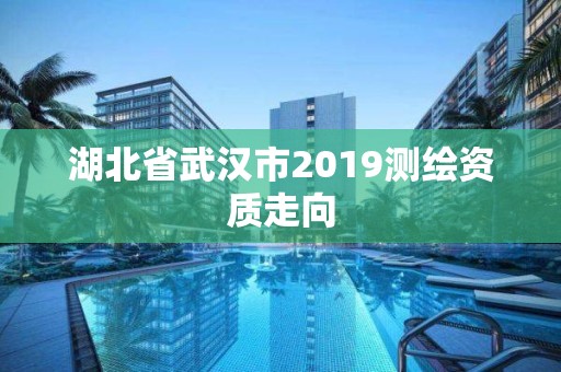 湖北省武漢市2019測繪資質(zhì)走向