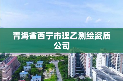 青海省西寧市理乙測繪資質(zhì)公司