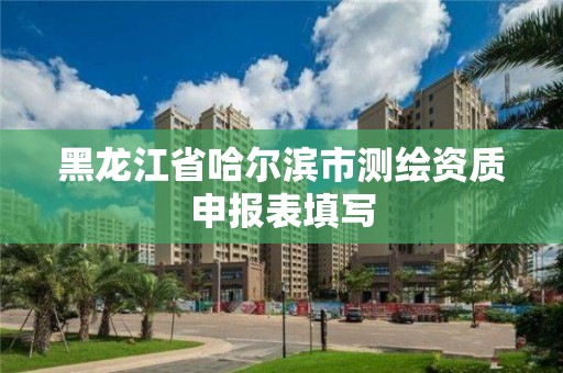 黑龍江省哈爾濱市測繪資質申報表填寫