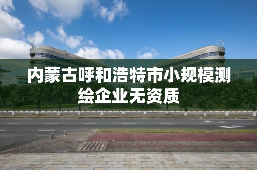 內蒙古呼和浩特市小規模測繪企業無資質