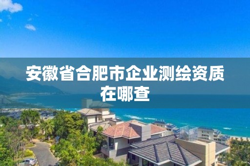 安徽省合肥市企業(yè)測繪資質(zhì)在哪查