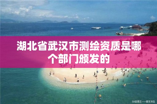 湖北省武漢市測繪資質是哪個部門頒發的