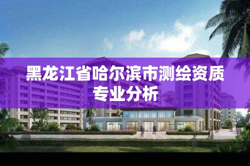 黑龍江省哈爾濱市測繪資質專業分析