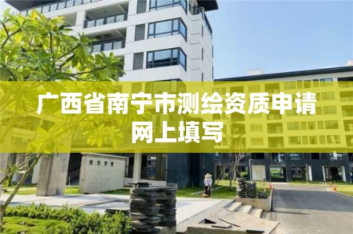 廣西省南寧市測繪資質申請網上填寫