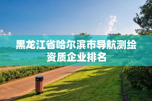 黑龍江省哈爾濱市導航測繪資質企業排名