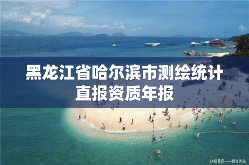 黑龍江省哈爾濱市測繪統計直報資質年報