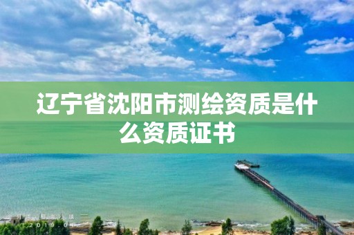 遼寧省沈陽市測繪資質是什么資質證書