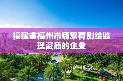 福建省福州市哪家有測(cè)繪監(jiān)理資質(zhì)的企業(yè)