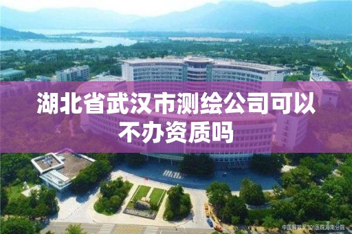 湖北省武漢市測繪公司可以不辦資質嗎