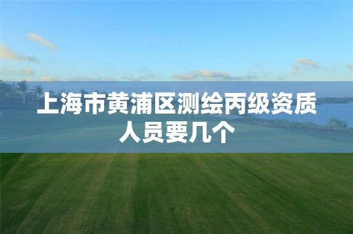 上海市黃浦區測繪丙級資質人員要幾個