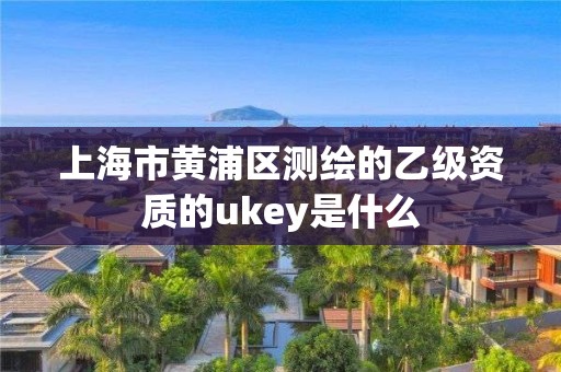 上海市黃浦區(qū)測(cè)繪的乙級(jí)資質(zhì)的ukey是什么