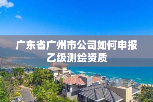 廣東省廣州市公司如何申報乙級測繪資質