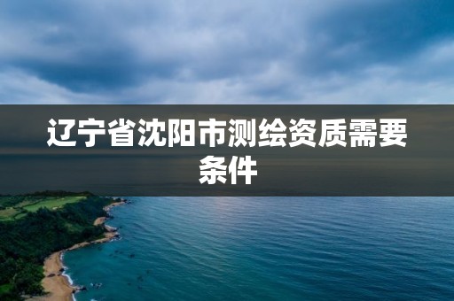 遼寧省沈陽市測繪資質需要條件