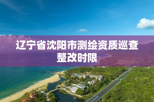 遼寧省沈陽市測繪資質巡查整改時限