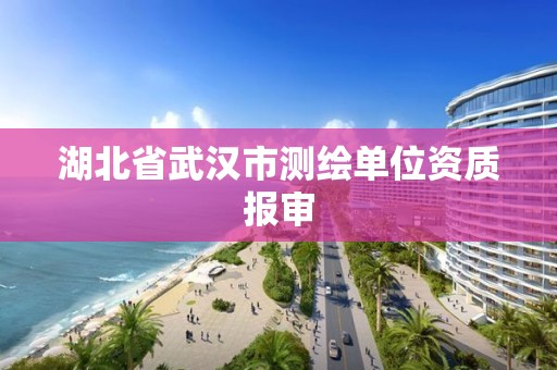 湖北省武漢市測繪單位資質報審