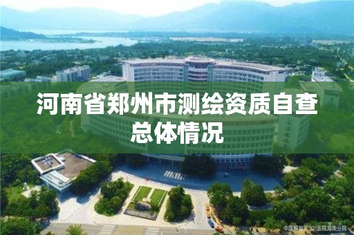 河南省鄭州市測繪資質自查總體情況