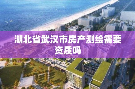 湖北省武漢市房產測繪需要資質嗎