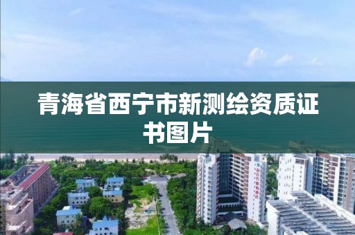 青海省西寧市新測(cè)繪資質(zhì)證書圖片