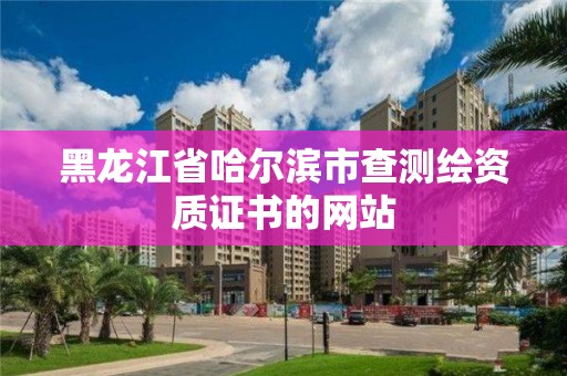 黑龍江省哈爾濱市查測繪資質證書的網站