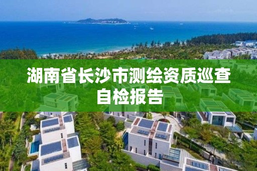 湖南省長沙市測繪資質巡查自檢報告