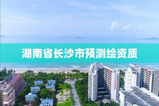 湖南省長沙市預(yù)測繪資質(zhì)