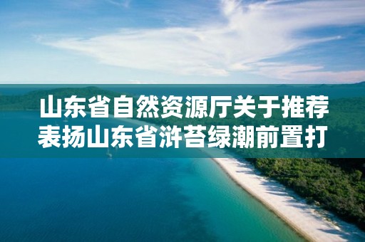 山東省自然資源廳關于推薦表揚山東省滸苔綠潮前置打撈突出集體和個人的通知