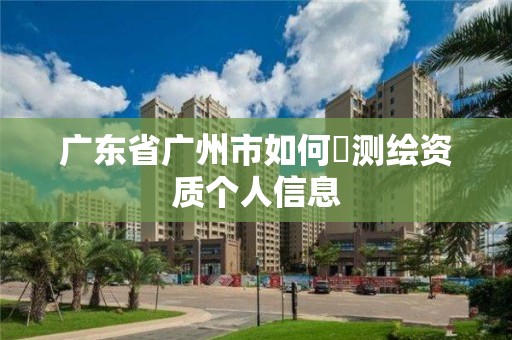 廣東省廣州市如何査測繪資質(zhì)個人信息