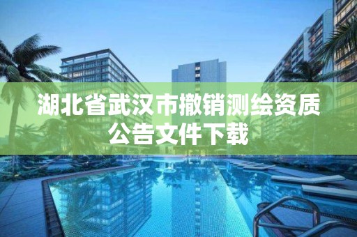 湖北省武漢市撤銷測繪資質(zhì)公告文件下載